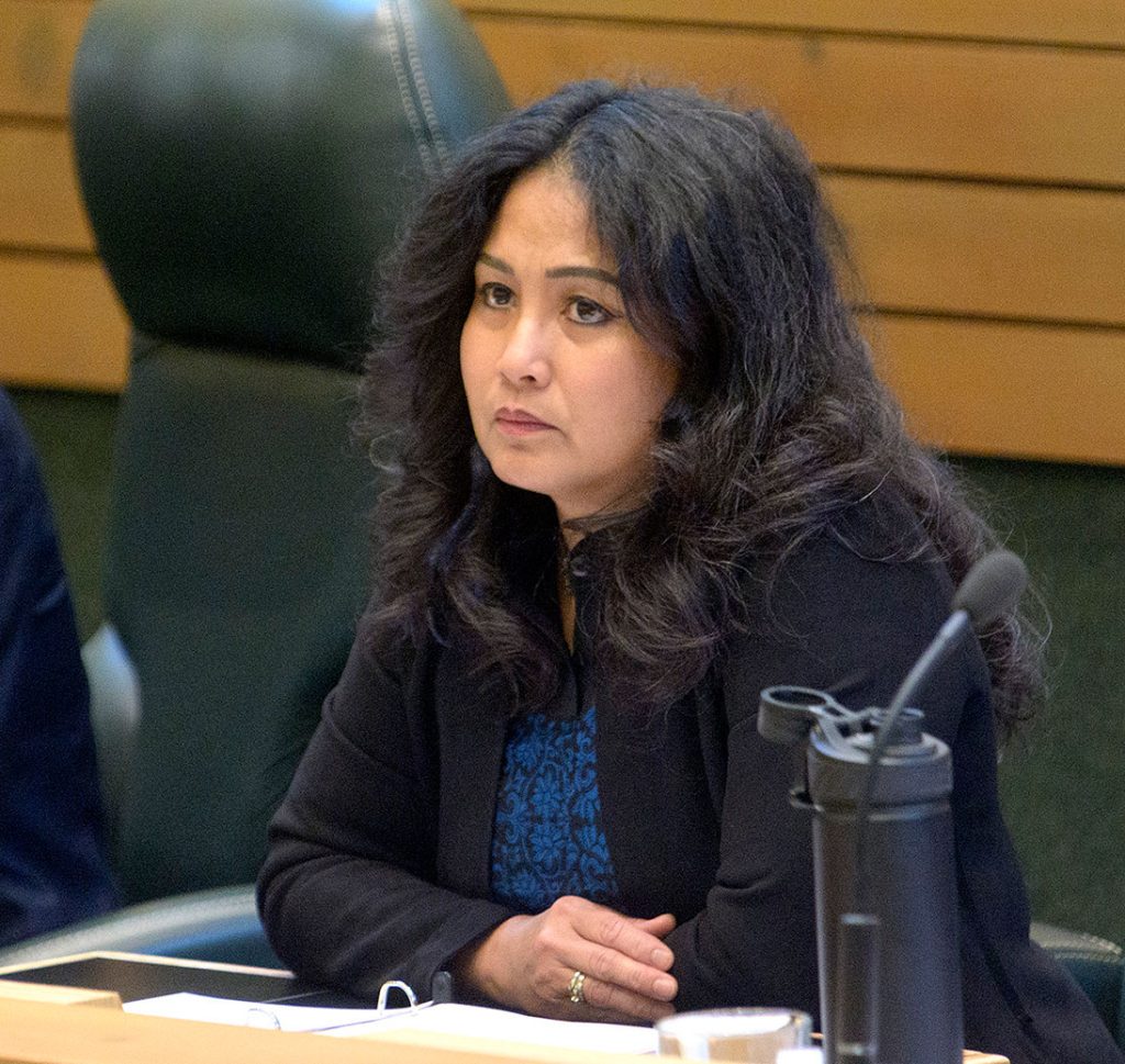 Liberals underspent on lot development, committee told